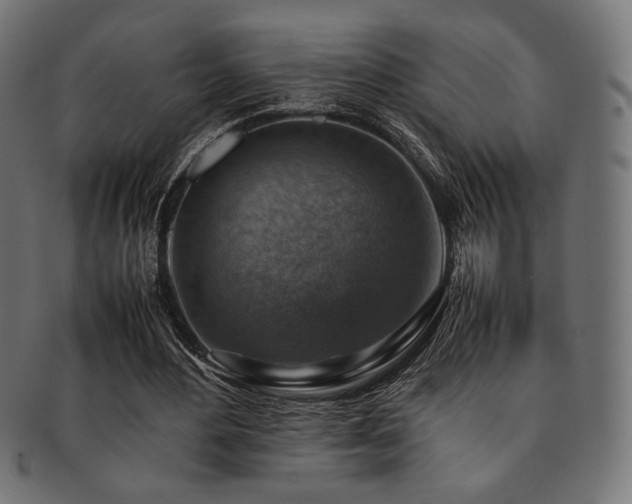 X0000092280484200709141224