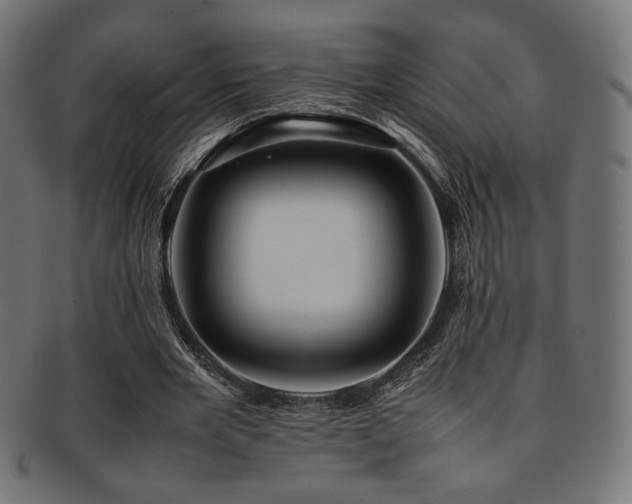 X0000092280485200709141224