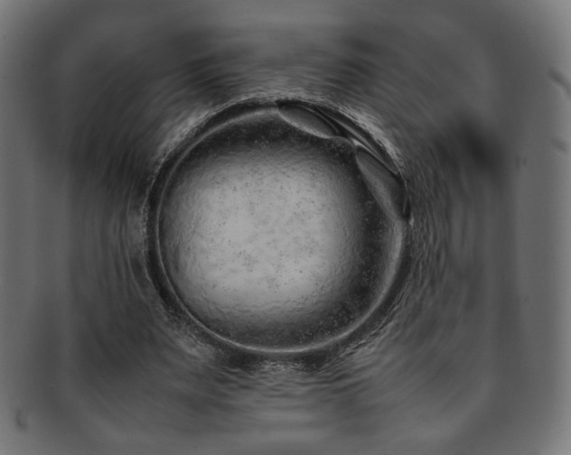 X0000092280487200709141224