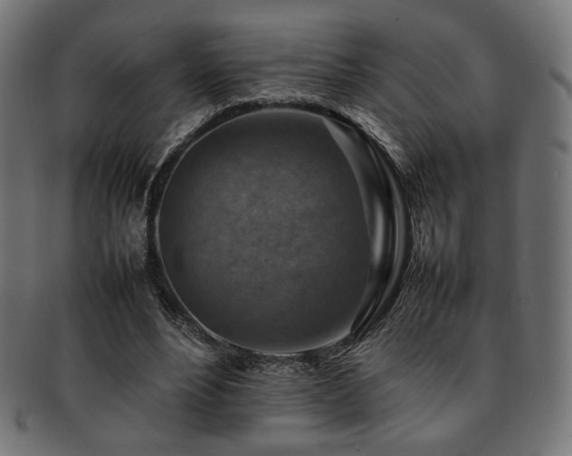 X0000092280488200709141224