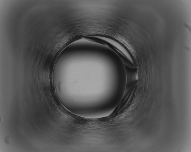 X0000092280489200709141224