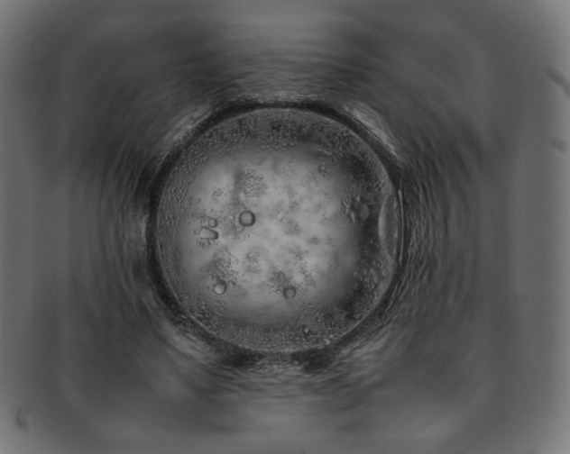 X0000092280491200709141224