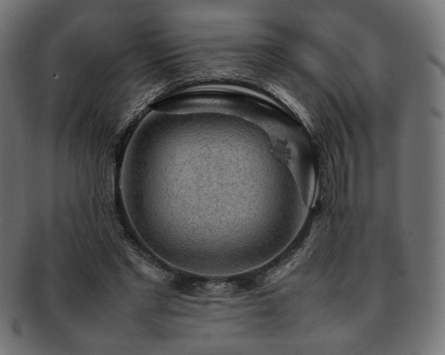 X0000092280493200709141224