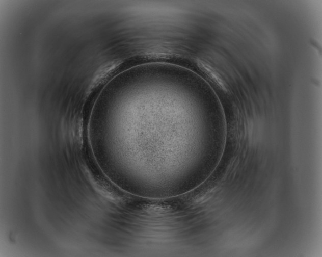 X0000092280494200709141224