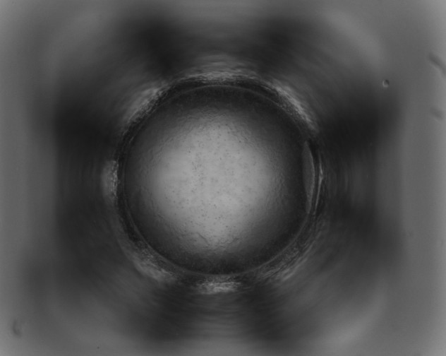 X0000092280495200709141224