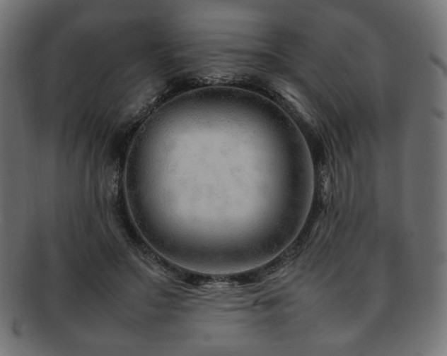 X0000092280499200709141224