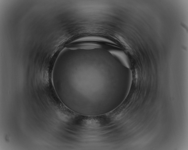 X0000092280500200709141224