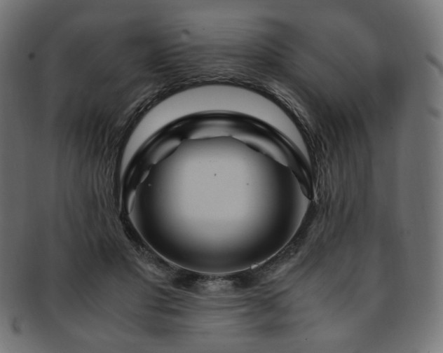 X0000092280501200709141224