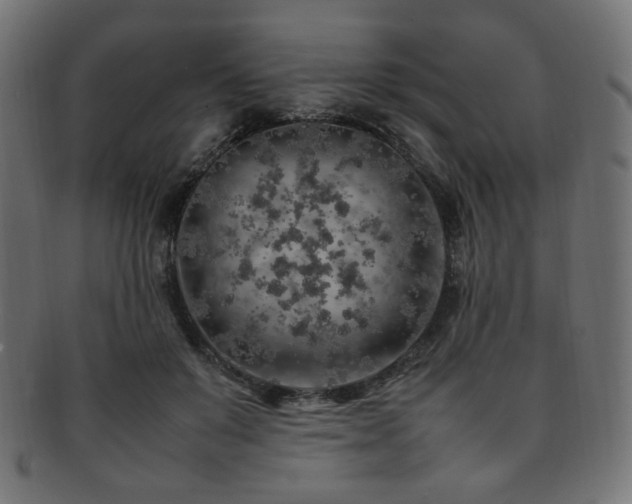 X0000092280503200709141224