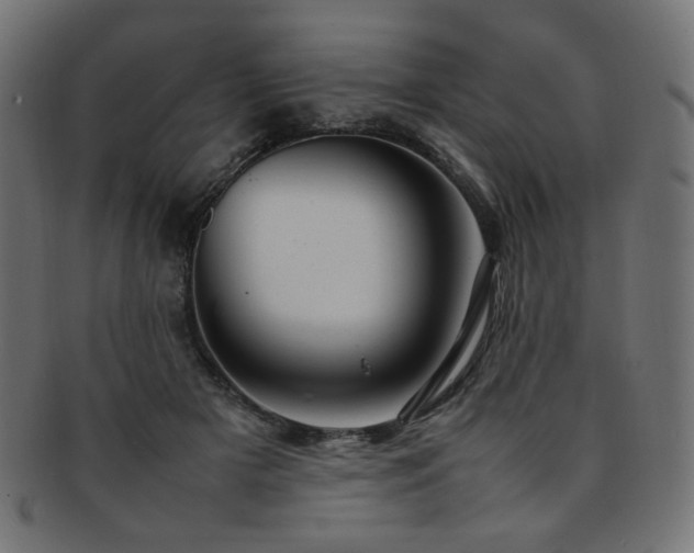 X0000092280505200709141224