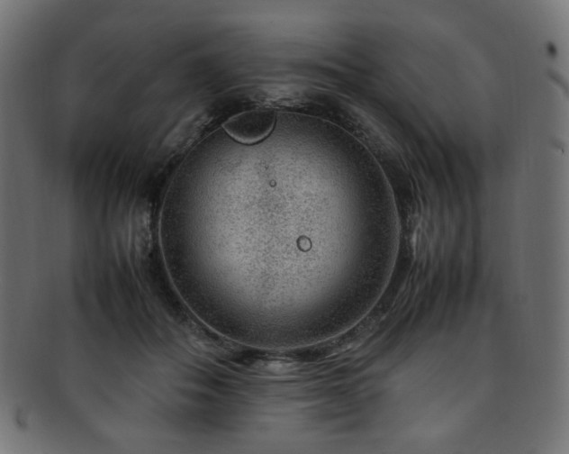 X0000092280506200709141224