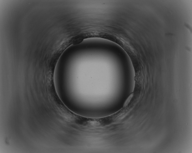 X0000092280509200709141224