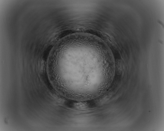 X0000092280511200709141224