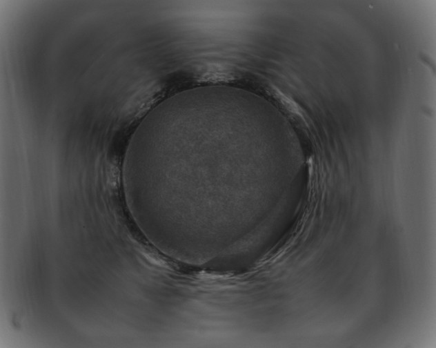 X0000092280517200709141224