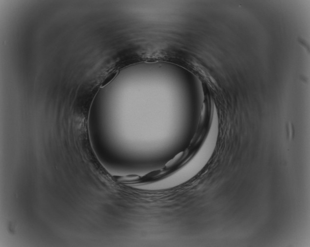 X0000092280521200709141223