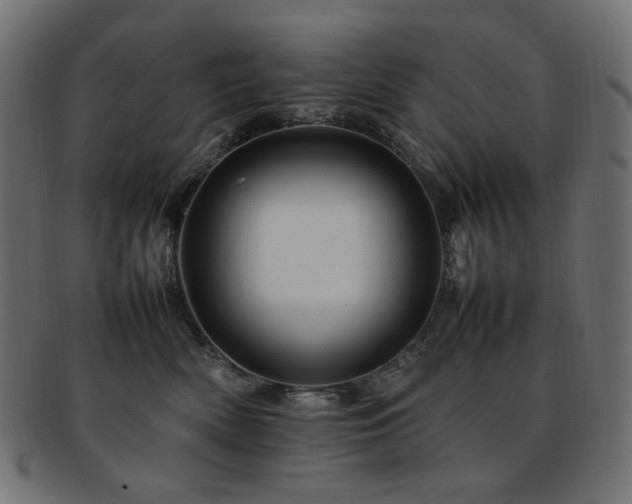 X0000092280522200709141223