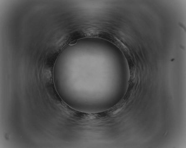 X0000092280523200709141223