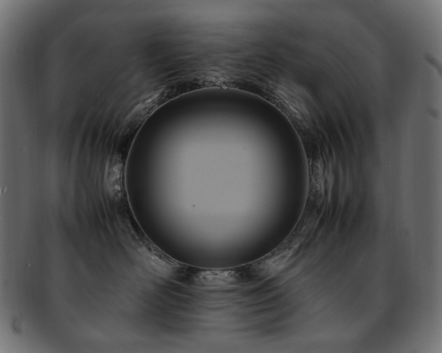 X0000092280526200709141223