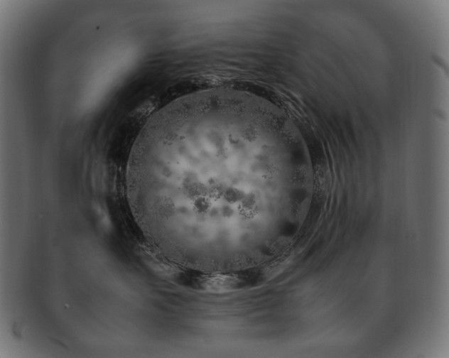 X0000092280527200709141223