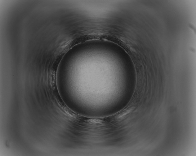 X0000092280528200709141223