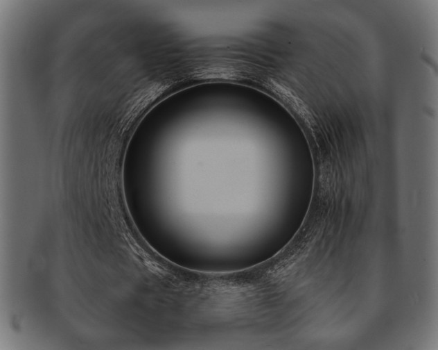 X0000092280529200709141223