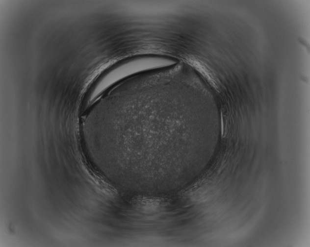 X0000092280531200709141223