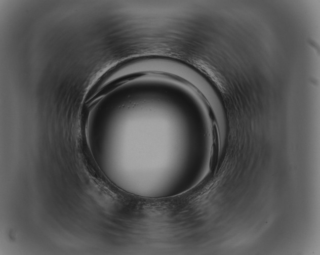 X0000092280532200709141223