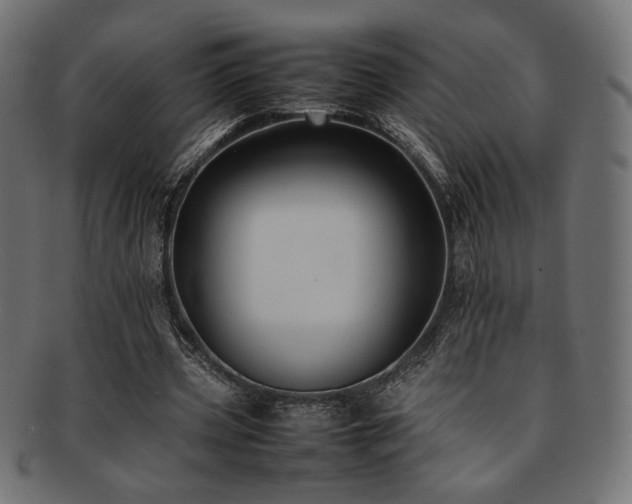 X0000092280533200709141223