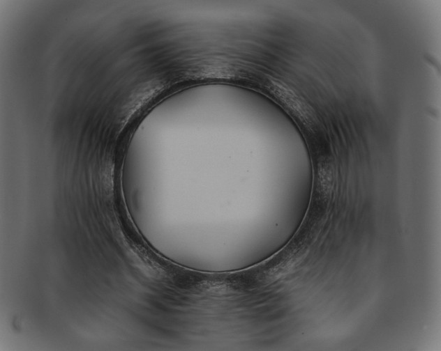 X0000092280534200709141223