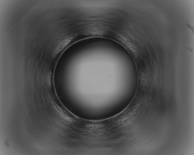 X0000092280537200709141223