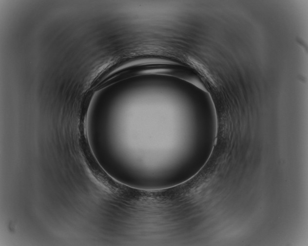 X0000092280538200709141223