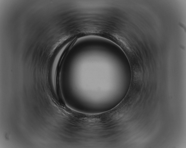 X0000092280539200709141223