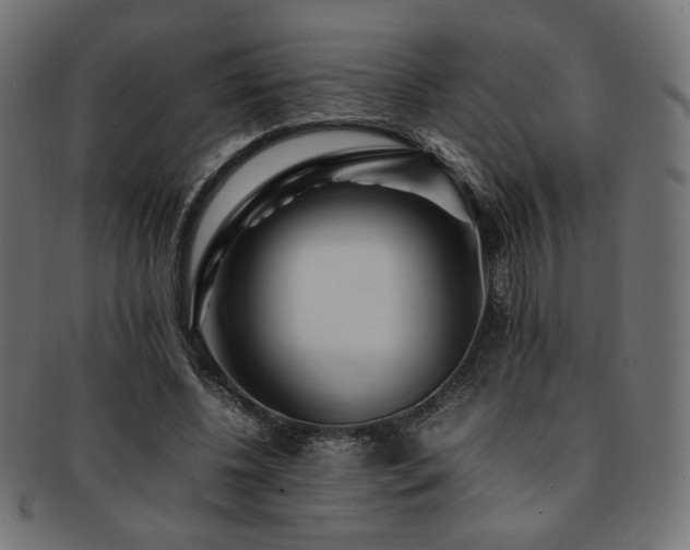 X0000092280540200709141223