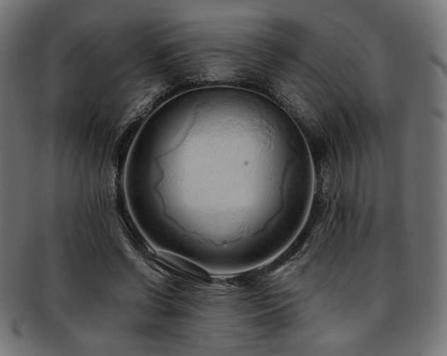 X0000092280542200709141223