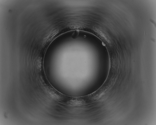 X0000092280545200709141223