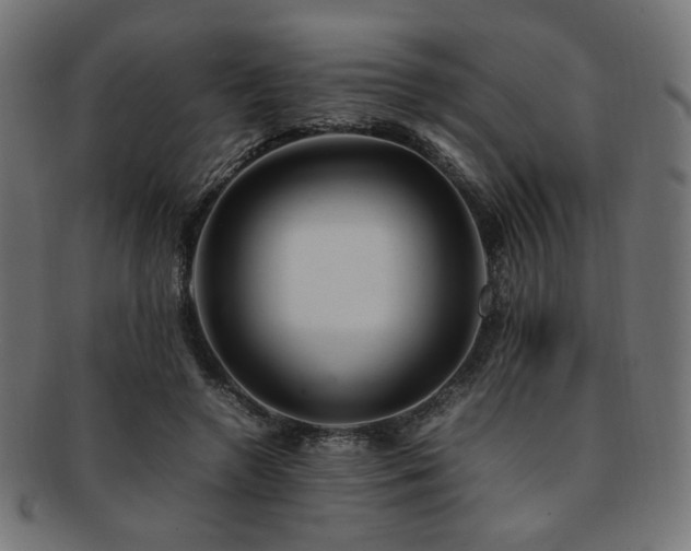 X0000092280546200709141223