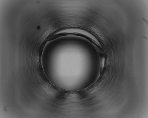 X0000092280548200709141223