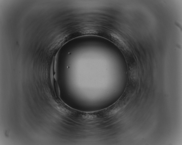 X0000092280549200709141223