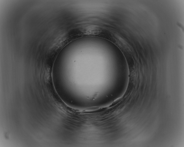 X0000092280554200709141223