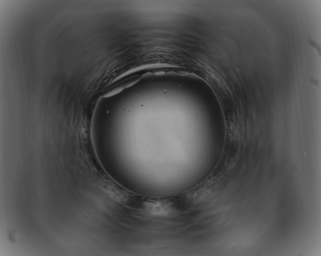 X0000092280561200709141223