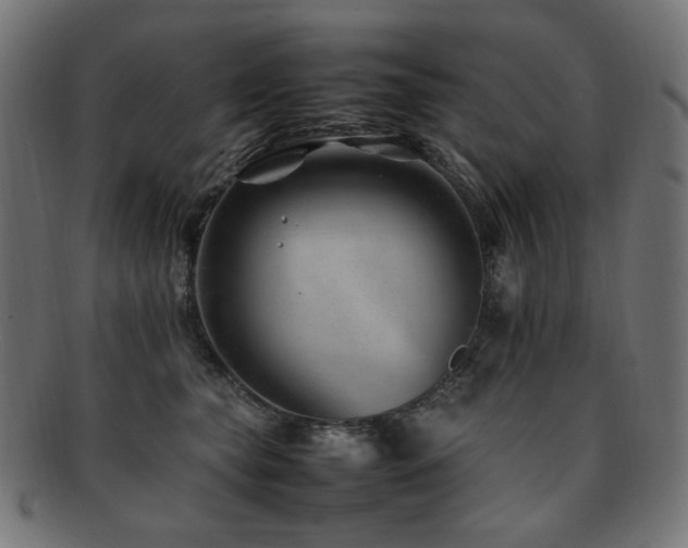 X0000092280565200709141223