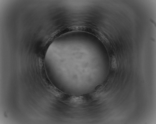 X0000092280569200709141223