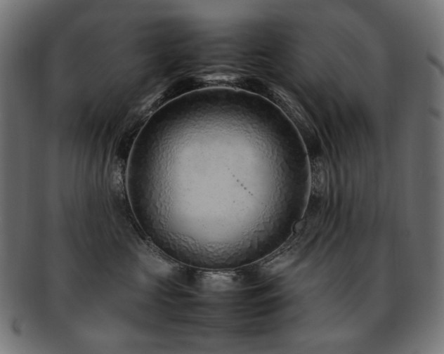 X0000092280573200709141223