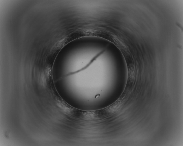 X0000092280574200709141223