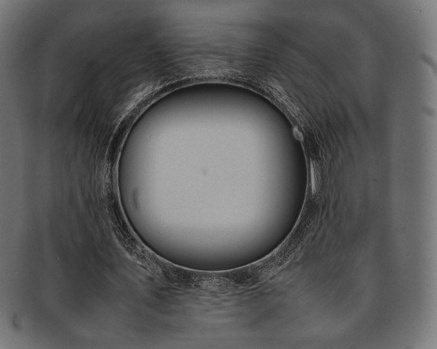 X0000092280579200709141223