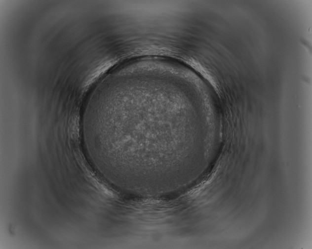 X0000092280581200709141223