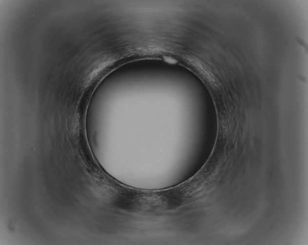 X0000092280583200709141223