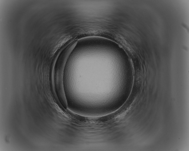 X0000092280585200709141223