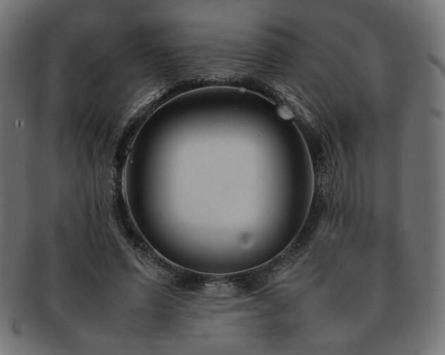 X0000092280591200709141222