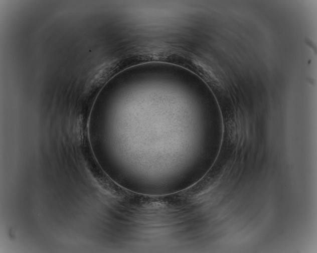 X0000092280594200709141222